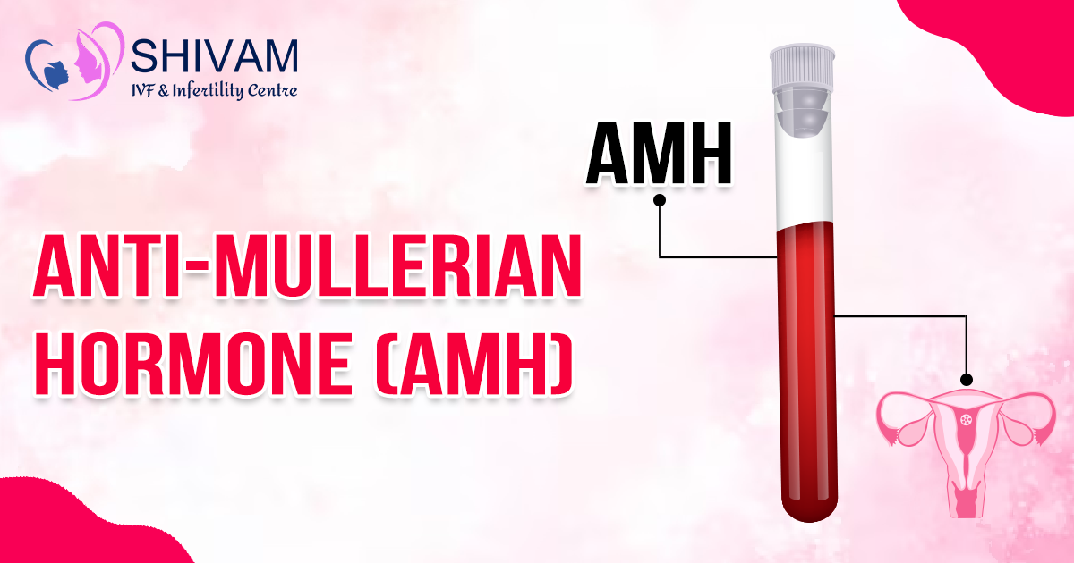 Anti Mullerian Hormone, Anti-Müllerian Hormone Test, Anti-Mullerian Hormone, AMH, AMH levels, Anti Mullerian Hormone levels, Normal & Low Anti Mullerian Hormone, AMH Fertility Test, About Anti-Mullerian Hormone (AMH), Understanding AMH Levels, What is AMH